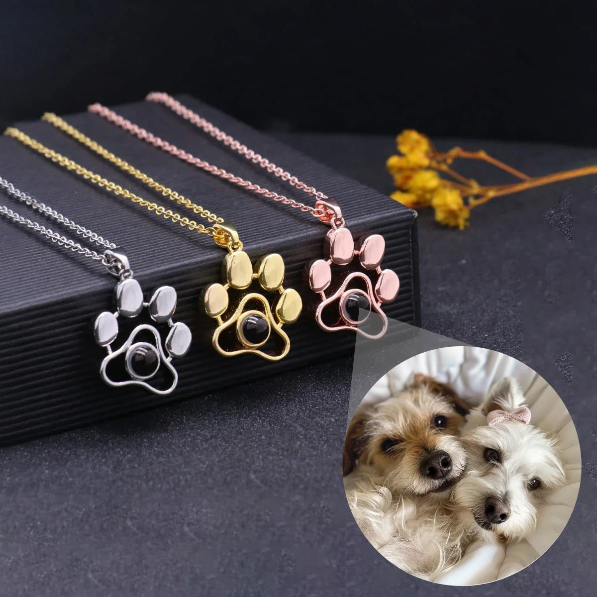 Colar Personalizado com Projeção de Foto e Pata